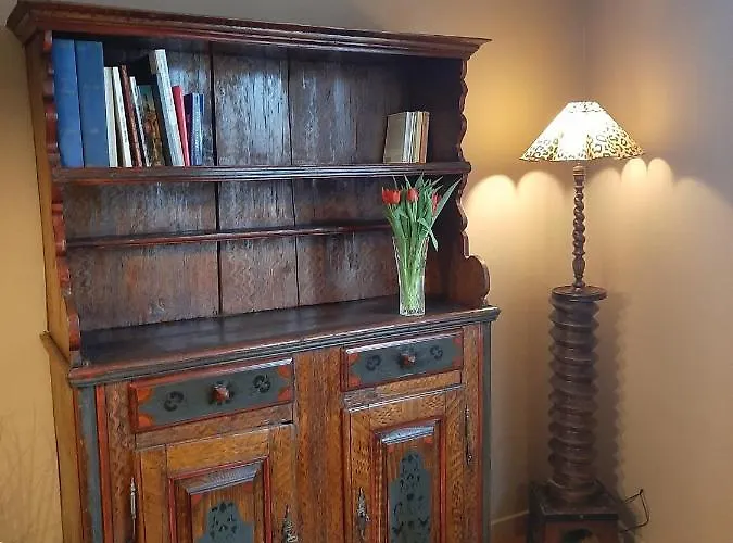 Dock 23 公寓 科尔马