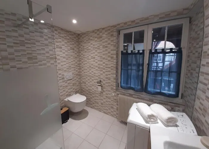 Dock 23 公寓 科尔马