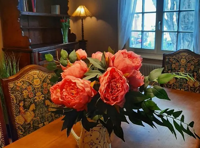 Dock 23 公寓 科尔马