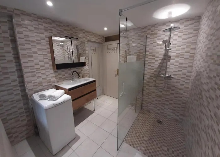 公寓 Dock 23 科尔马